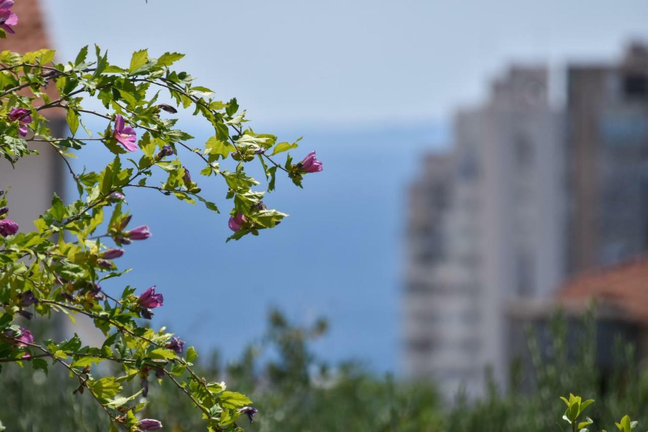 Apartment Neyra Split Luaran gambar